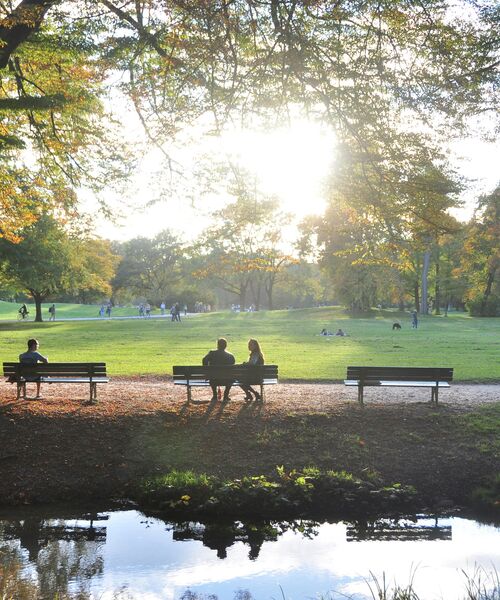 Menschen sitzen auf Parkbänken unter Bäumen, während die Sonne über einer weitläufigen Wiese scheint.