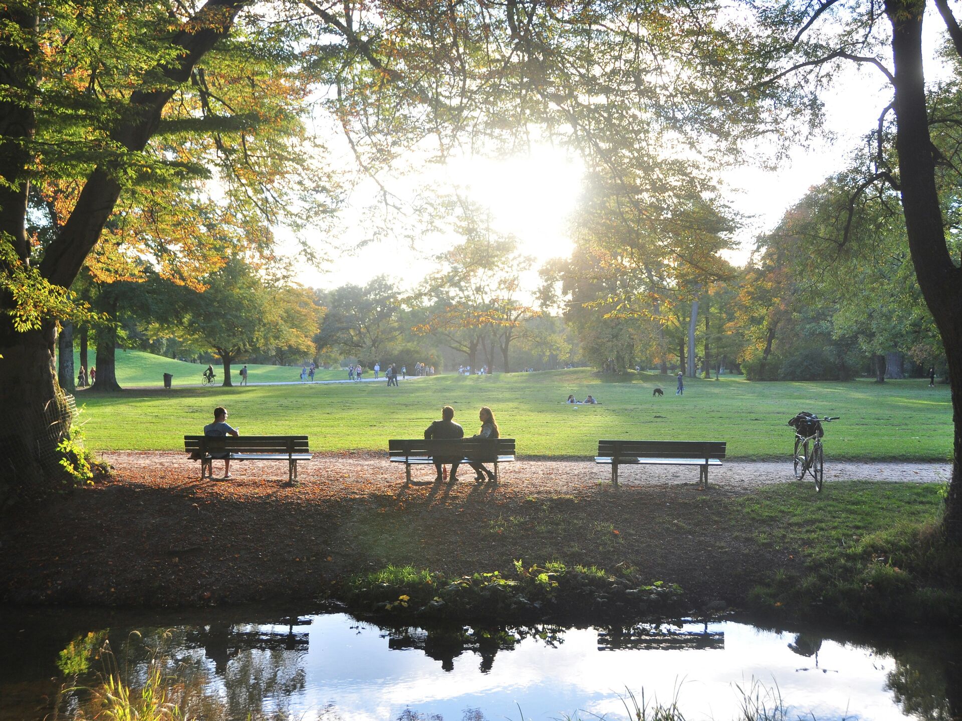 Menschen sitzen auf Parkbänken unter Bäumen, während die Sonne über einer weitläufigen Wiese scheint.
