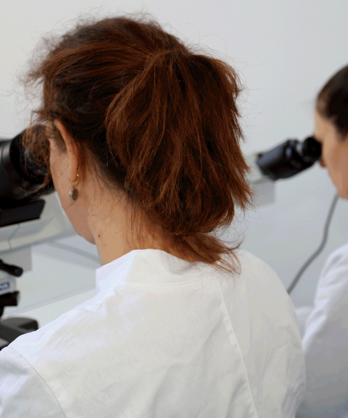 Zwei Personen in weißen Laborkitteln arbeiten nebeneinander an Mikroskopen.