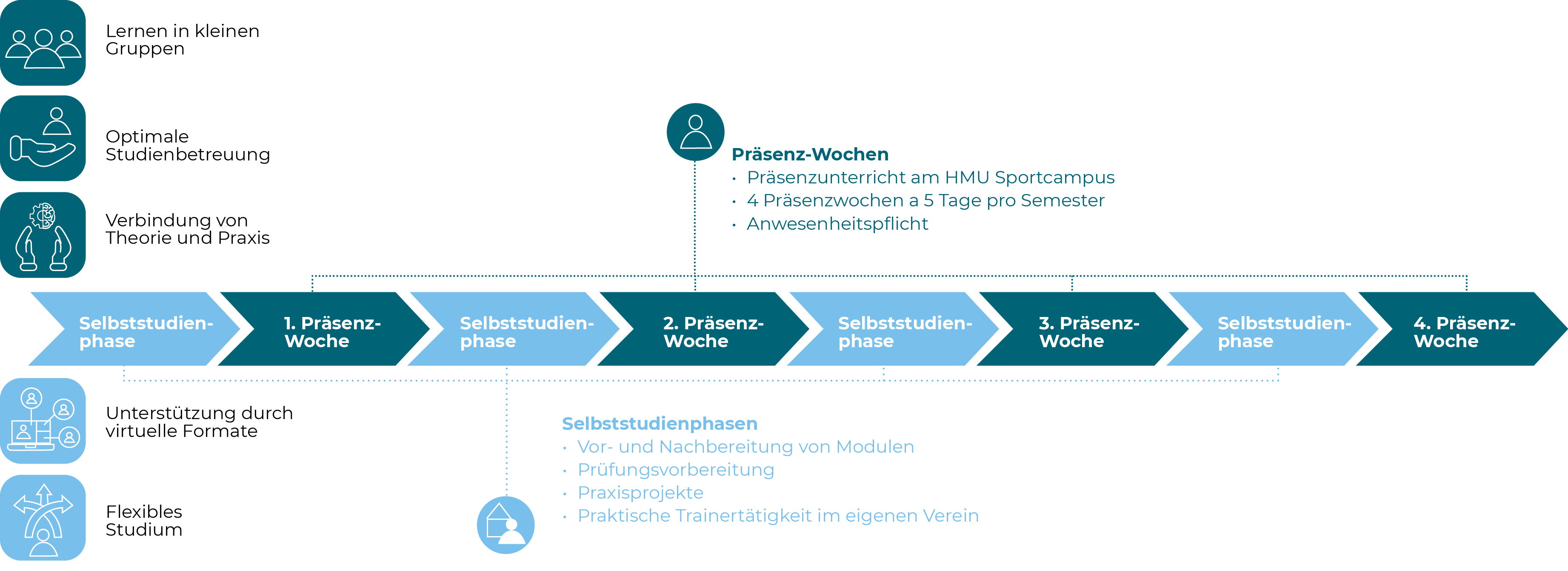 Grafik mit abwechselnden Selbststudienphasen und vier Präsenzwochen pro Semester, ergänzt durch Hinweise zu Präsenzunterricht, Anwesenheitspflicht und Aufgaben der Selbststudienphasen.
